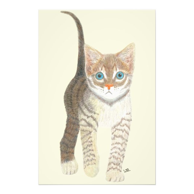 Affisch med randig kattunge 24x36 fototryck (Framsidan)