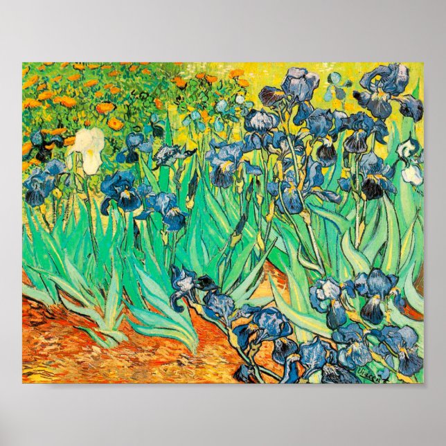 Affisch Vincent van Gogh Irises 1889 Blå Blommor (Framsidan)