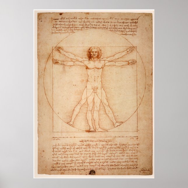 Affisch Vitruvian Man av Leonardo da Vinci (Framsidan)