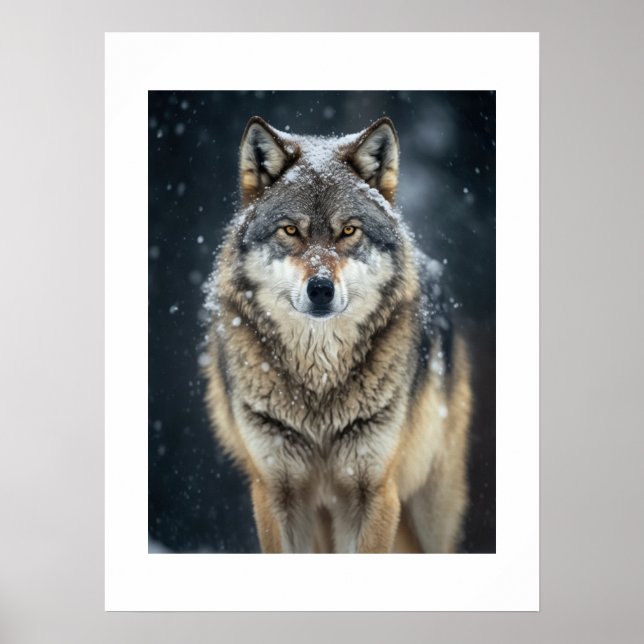 Affisch Yellowstone Varg (Framsidan)