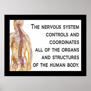 Affischen för Chiropracticnervcitationstecknet Poster