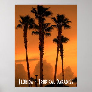 Affischen för den Florida fotograferar den Poster