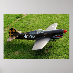 Affischen för P-40 Warbird Poster
