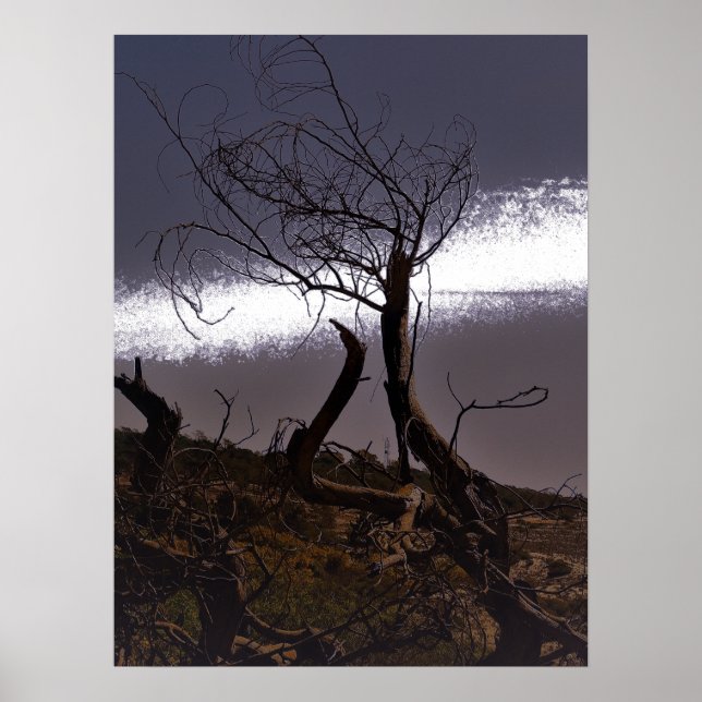 AFFISCHER KONST OCH DESIGNSTILAR  (Framsidan)