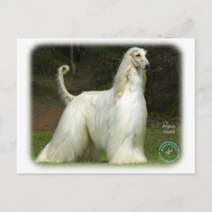 Afghan Hound 9J32D-21 Vykort
