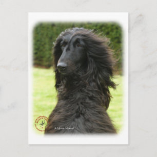 Afghan Hound 9T027D-081 Vykort