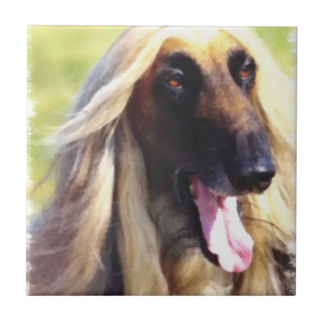 Afghan Hound Art Kakelplatta (Framsidan)