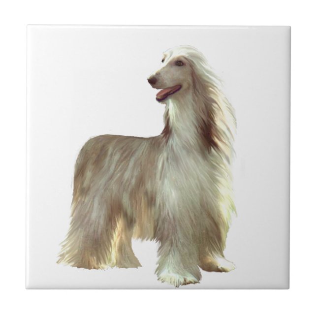 Afghan Hound (B) - fawn stand Kakelplatta (Framsidan)