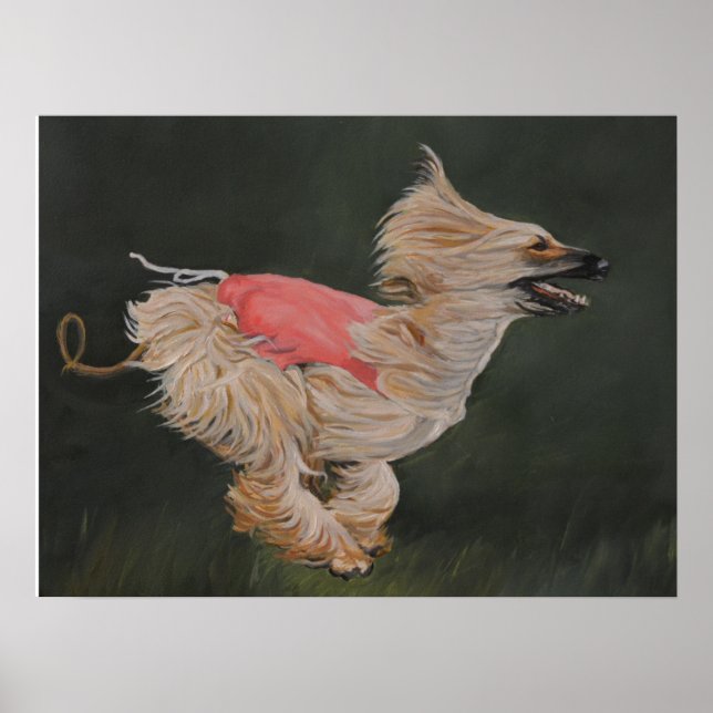 Afghan Hound Coursing Reproduction Poster Art (Framsidan)