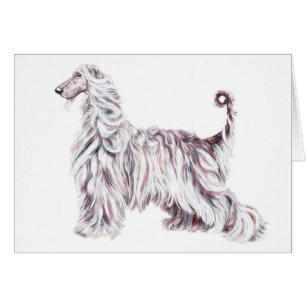 Afghan Hound Elegance Hälsningskort