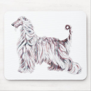 Afghan Hound Elegance Musmatta