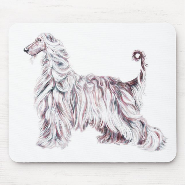 Afghan Hound Elegance Musmatta (Framsidan)