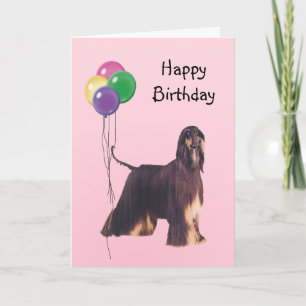 Afghan Hound, födelsedagsballonger Kort