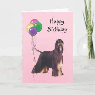 Afghan Hound, födelsedagsballonger Kort