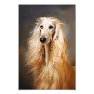 Afghan Hound Fototryck