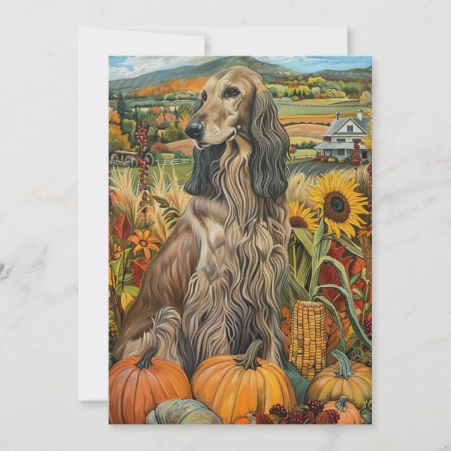 Afghan Hound Höstskörd Thanksgiving Hund Julkort (Framsida)