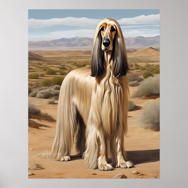 Afghan Hound - Hund Art Print Poster (Framsidan)