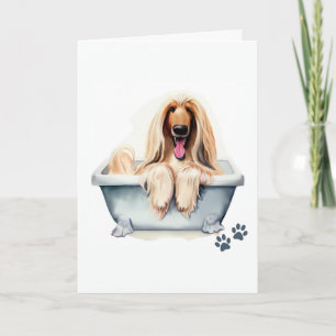 Afghan Hound Hund Folded Hälsning Kort
