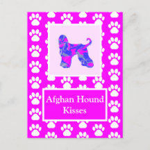 Afghan Hound Hund Kisses Silhouette Cute P&B