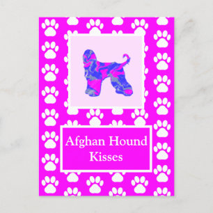 Afghan Hound Hund Kisses Silhouette Cute P&B Vykort