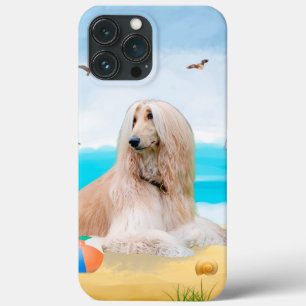 Afghan Hound Hund on Beach