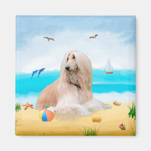 Afghan Hound Hund on Beach Magnet