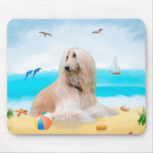 Afghan Hound Hund on Beach Musmatta