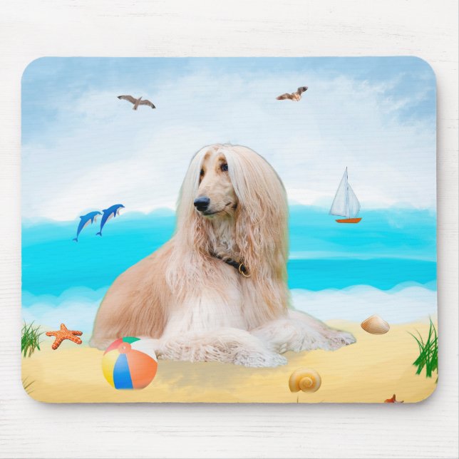 Afghan Hound Hund on Beach Musmatta (Framsidan)