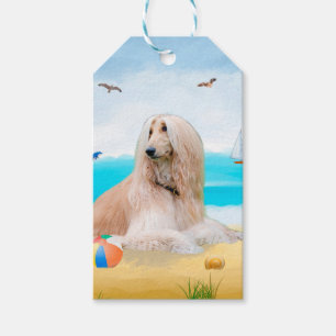 Afghan Hound Hund on Beach Presentetikett