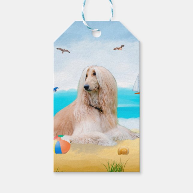 Afghan Hound Hund on Beach Presentetikett (Framsidan)
