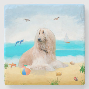 Afghan Hound Hund on Beach Stenunderlägg