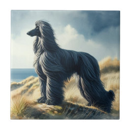 Afghan Hound Kakelplatta