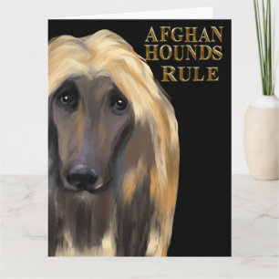 AFGHAN HOUND KORT
