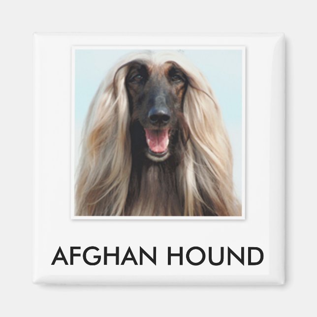 Afghan Hound Magnet (Framsidan)