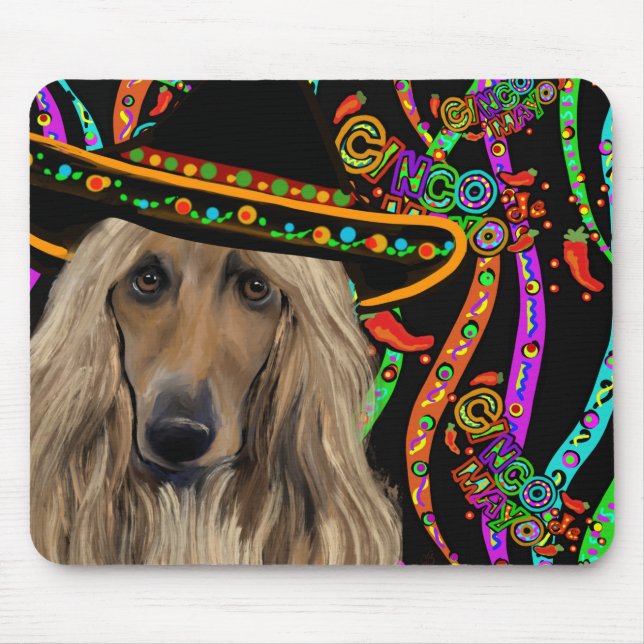Afghan Hound Mexiko Musmatta (Framsidan)