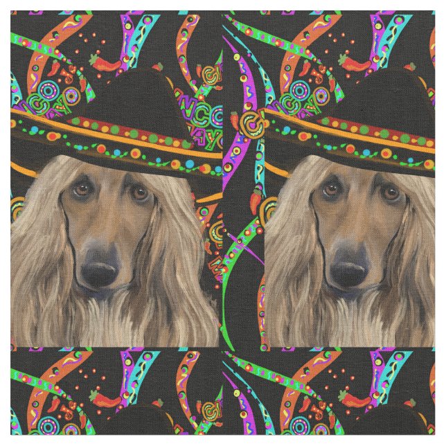 Afghan Hound Mexiko Tyg (Närbild)