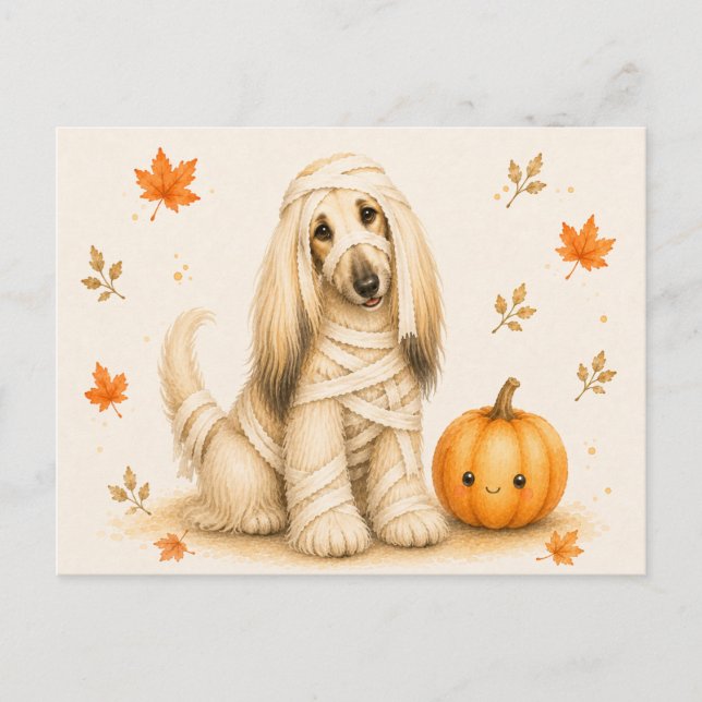 Afghan Hound Mummy Halloween Vykort (Framsida)