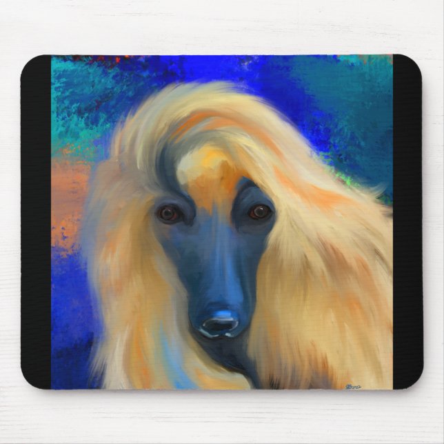 Afghan Hound Musmatta (Framsidan)