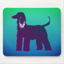 Afghan Hound Musmatta