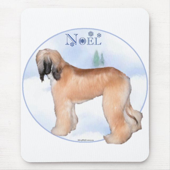 Afghan Hound Noel Musmatta (Framsidan)