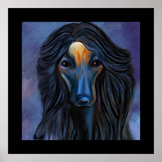 Afghan Hound Poster (Framsidan)