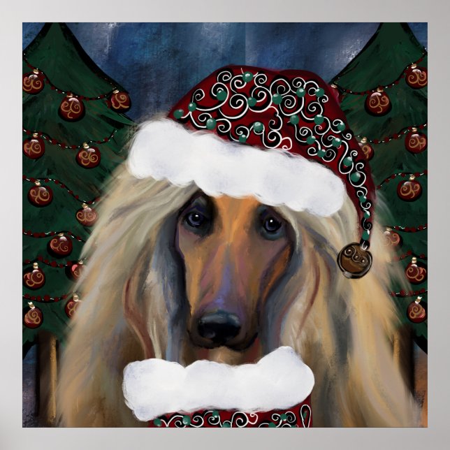 AFGHAN HOUND POSTER (Framsidan)