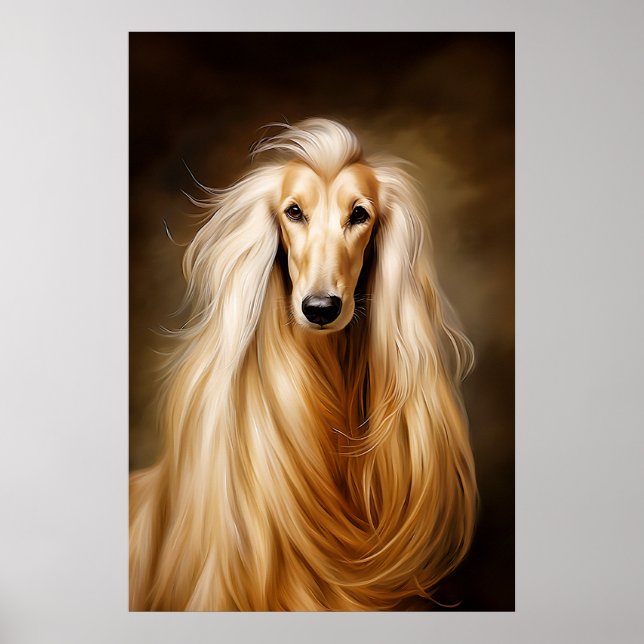 Afghan Hound Poster (Framsidan)