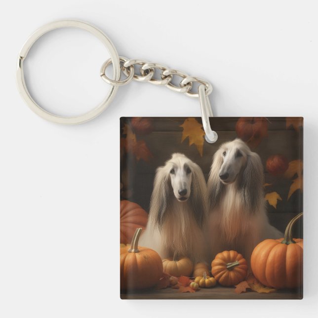 afghan hound Puppy Autumn Delight Pumpkin (Framsidan)