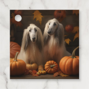 afghan hound Puppy Autumn Delight Pumpkin Gåvor Etiketter