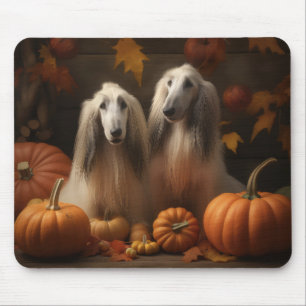 afghan hound Puppy Autumn Delight Pumpkin Musmatta