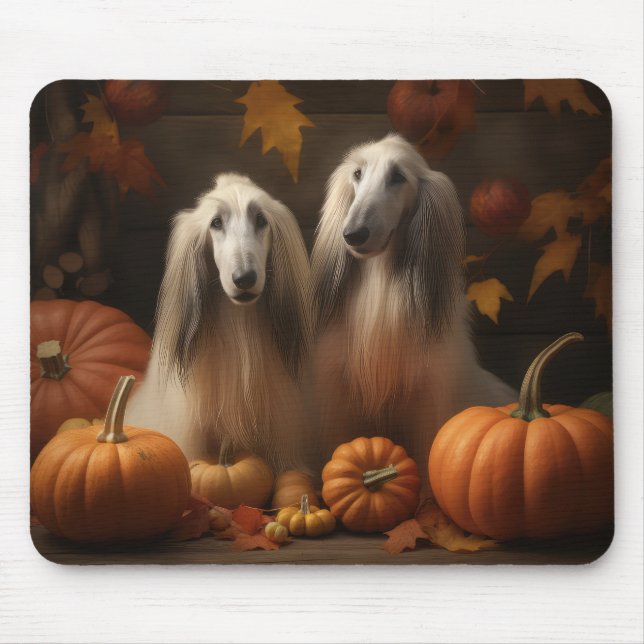 afghan hound Puppy Autumn Delight Pumpkin Musmatta (Framsidan)