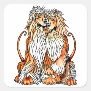 Afghan Hound Puppy Kärlek Fyrkantigt Klistermärke
