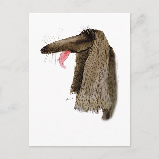 Afghan Hound, tony fernandes Vykort (Framsida)