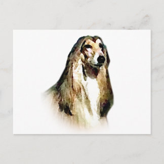 Afghan Hound Vykort